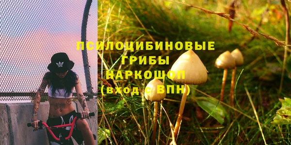 2c-b Алексин